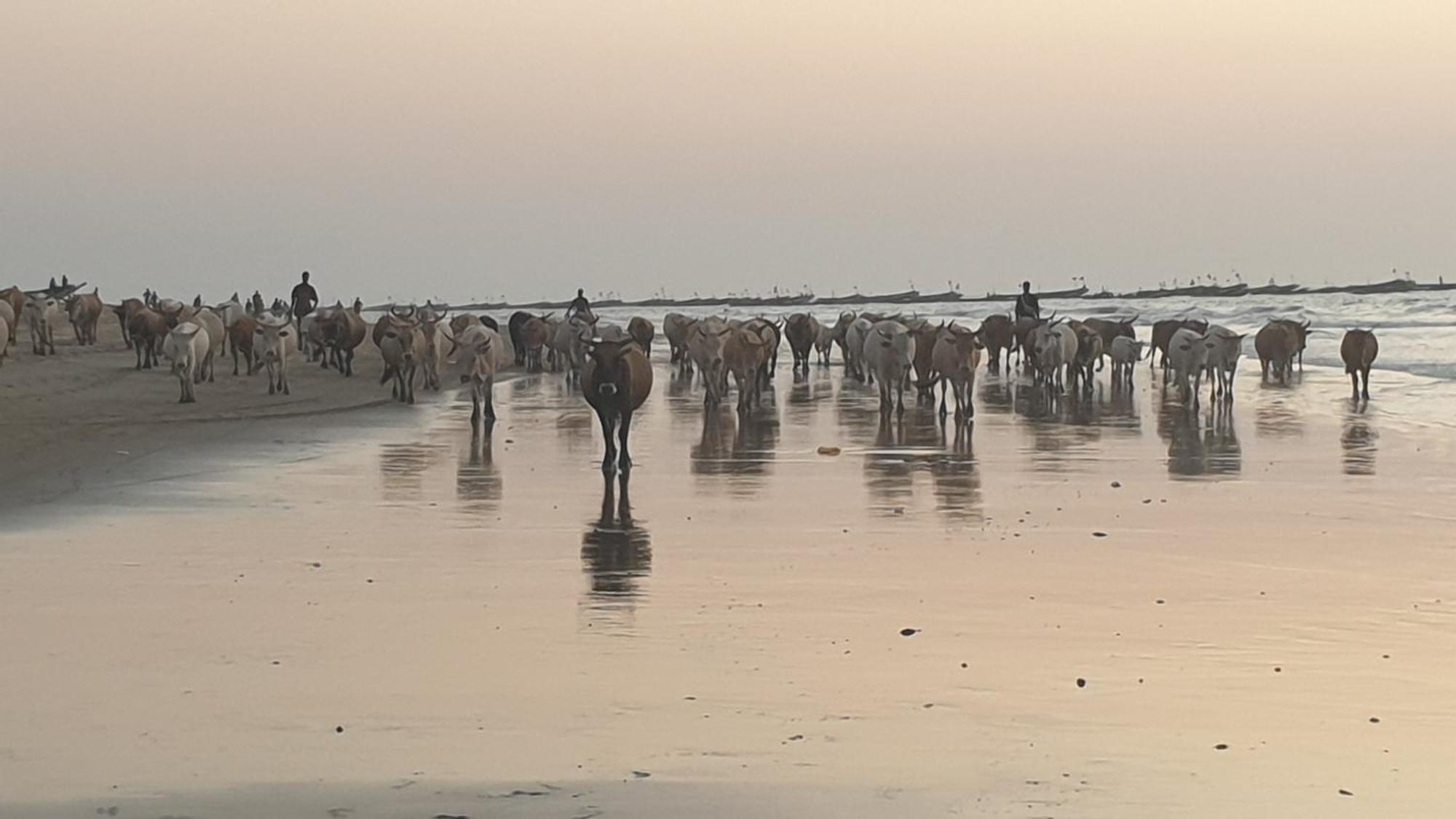 Kasa Boubak Avec Cuisine Exterieure A 50 M De La Plage Kafountine Exterior foto